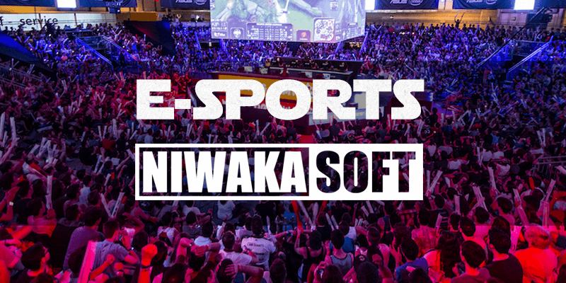 NIWAKASOFTのeスポーツ事業